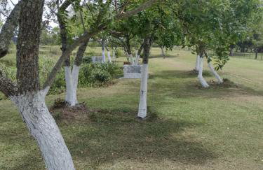 Pousada das Palmeiras - Foto 37