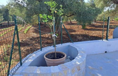 Virginia Country house - Foto 64