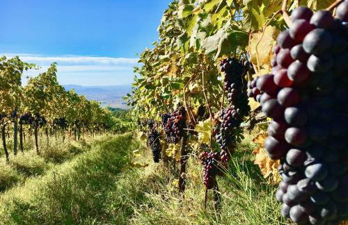 VALDONICA WINERY Fine Dine & Wine Hotel - Foto 109