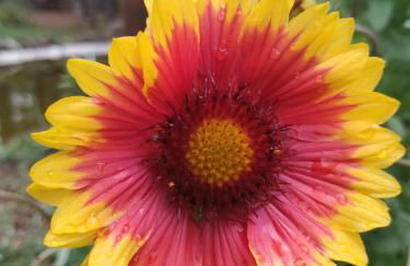 El Rincón de María. - Foto 28