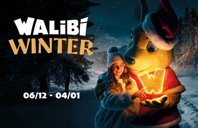 Walibi Theme Park Tickets - Photo 1