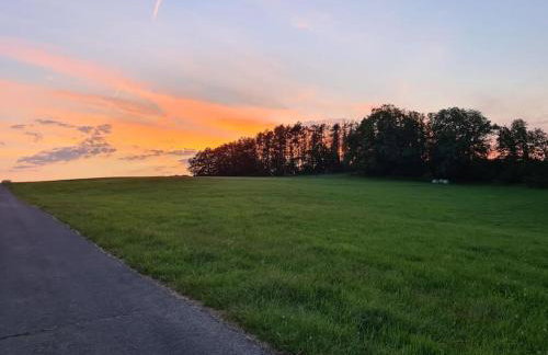 Jedermanns Nest - Foto 15