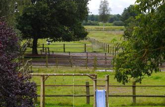 Landhaus Pakirnis - Ferien in der Elbtalaue - - Foto 5