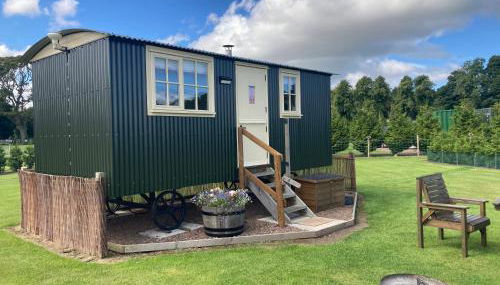 The Hawthorn Shepherds Hut - Foto 5