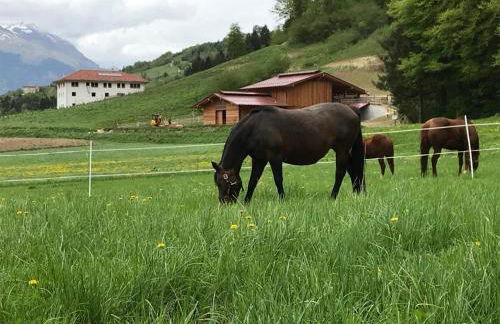 AGRITURISMO MASO PERTENER -adults friendly- - Foto 4