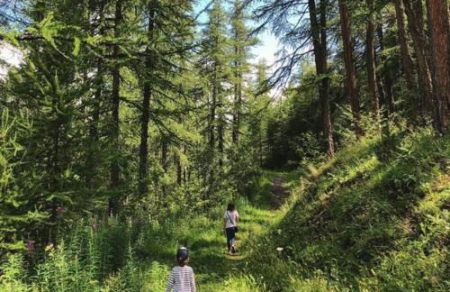 Studio Cocon aux Orres 1650 au pied des pistes et vue montagne - Foto 17