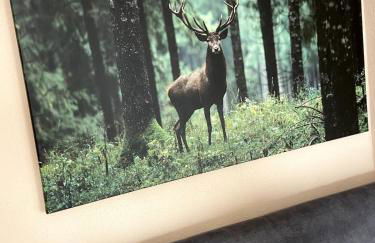 Modernes Studio in Irrel - Foto 13