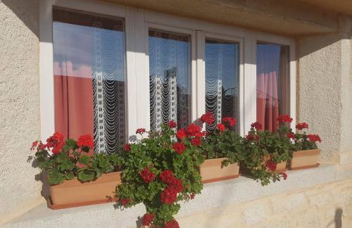 Casa Ladonja - Foto 24