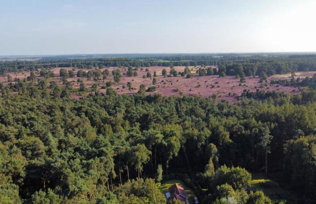 Tranquil Stay in Drenthe - Photo 28