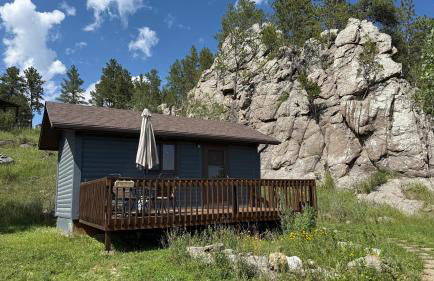 Cozy little pet-friendly cabin - Foto 3