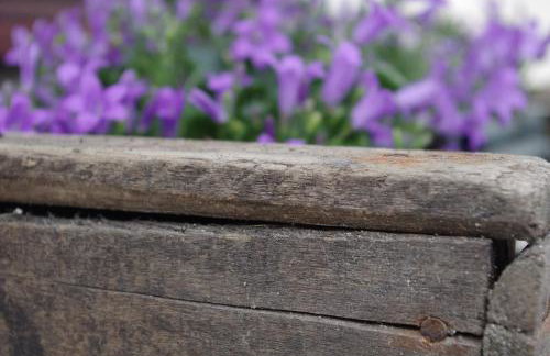 East Thorne - Cornwall - Foto 39