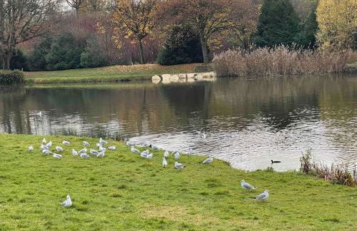 Masion belle vue - Foto 20