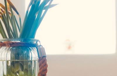 Beautiful cozy old Cottage near the Sea and all Attractions - Foto 30