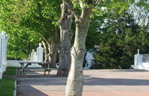 Ardgort Country House - Foto 16