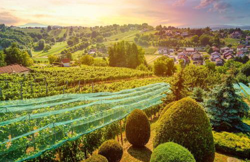 Villa Toscana with jacuzzy - Foto 6