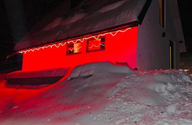 Domek w lesie - Foto 17