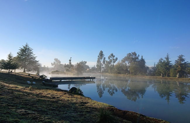 Cabañas Sierra del Tecuan - Foto 11