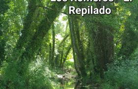 La Casa Junto al Sendero del Río & chimenea y leña incluida - Foto 7