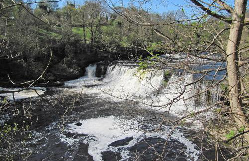 Hollyhock Cottage - Photo 7