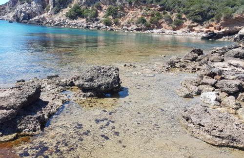 Tenuta Agricola dell'Uccellina - Foto 44