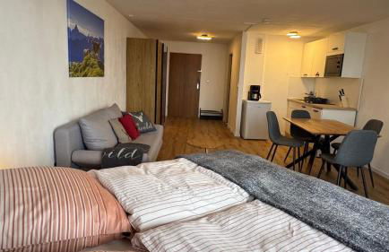 AlpinLounge Scheidegg - Studio mit Wellness und Bergblick - Foto 11