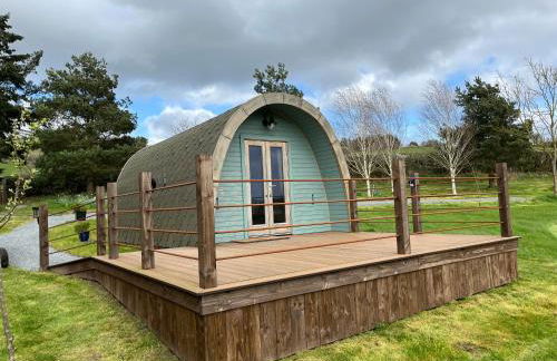 The Pod Patch - Trelerney Pod - Foto 1