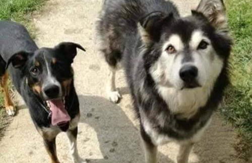 Maison au calme entre Caen et Cabourg - Foto 3
