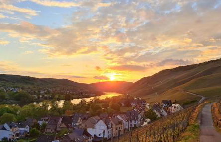 Sonnenufer Apartment & Moselwein II - Foto 10