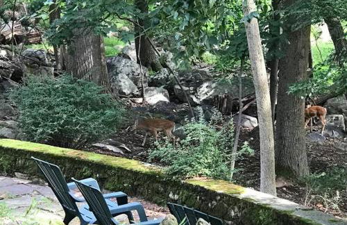 3 Acre Lake Paradise Swimming Pool & Jacuzzi HotTub! - Foto 61