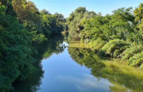 Diamond - Gîte dans vieux prieuré près de Carcassonne - Foto 22