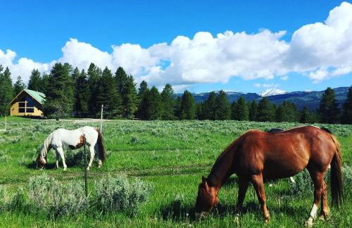 Kantada in the Trees - Foto 1