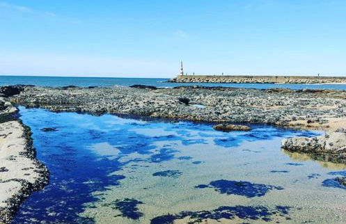 Aguda Beach Porto, Slow Travel Houses - Foto 40