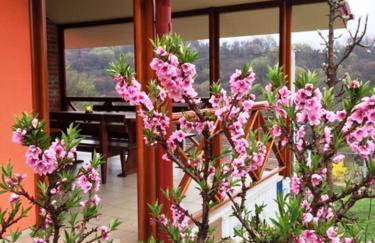 Kuća za odmor "Nedeljko"/ Holliday hause "Nedeljko" - Foto 26