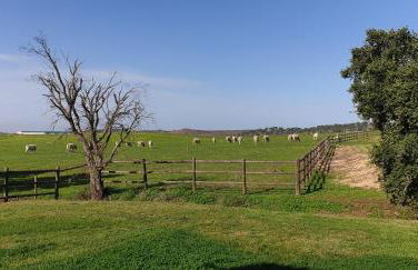 Casa dos Sobreiros - Foto 45