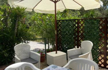 Residence Saturno - Foto 28