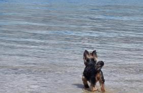 Izzi Mobile Home - Terra Park SpiritoS - Photo 33