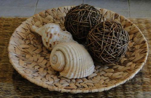 Telethrio - Photo 24