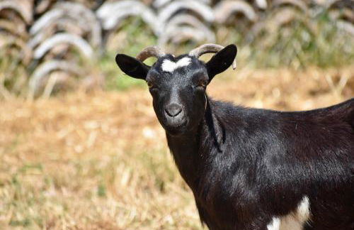 Il Borgo delle Pampare - Foto 68