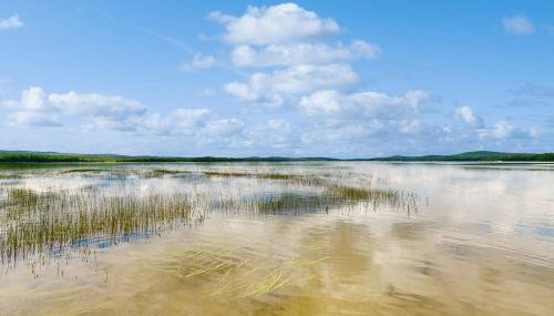 Starry Nights Camp - Foto 3