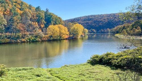 Upper Delaware River House - Foto 2