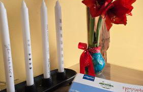 Fewo Gipfelstürmer mit Königscard - Foto 8