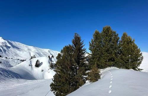 Appartement - La Plagne - Les Coches - 7 Personnes - Pieds des pistes - Foto 26