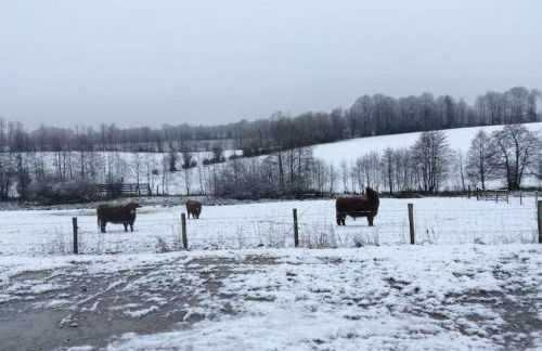 Gîte nature - 4 personnes à Signy-le-Petit - Foto 34