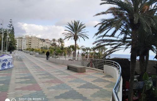 Delfin Home - Foto 35