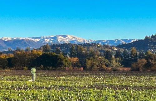 Magnolia Ranch Vineyards - Foto 24