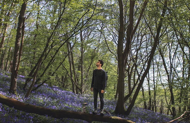 Dog Friendly Shepherd's Hut, Perfect for Couples - Photo 40