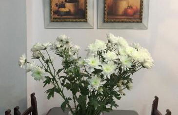 CASA EL CALLEJON DE BENAMAHOMA - Foto 9