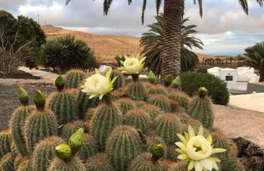 Casa Alegría - Foto 65