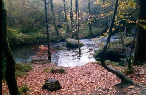 Maison Bretonne Calme Centre Ville - Foto 19