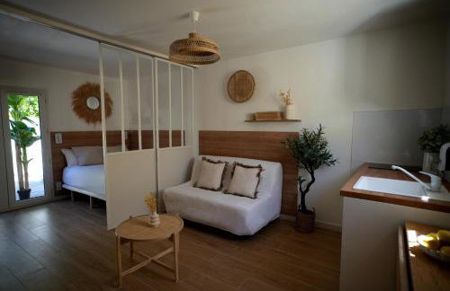 La paillotte - Studio terrasse proche tram - Foto 18